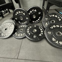 Bumper Plates 230lb Set 