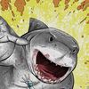 King Shark’s Trading
