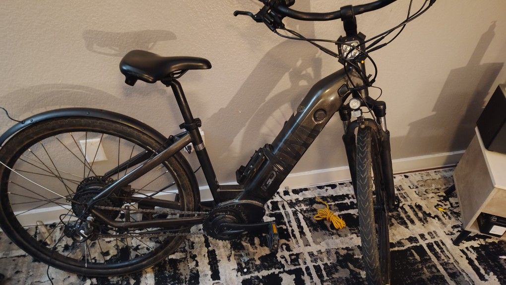 Electric Bike