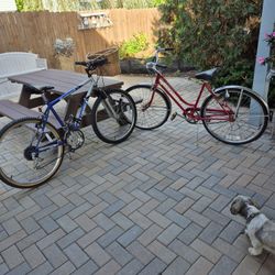 Two  Bicycle 