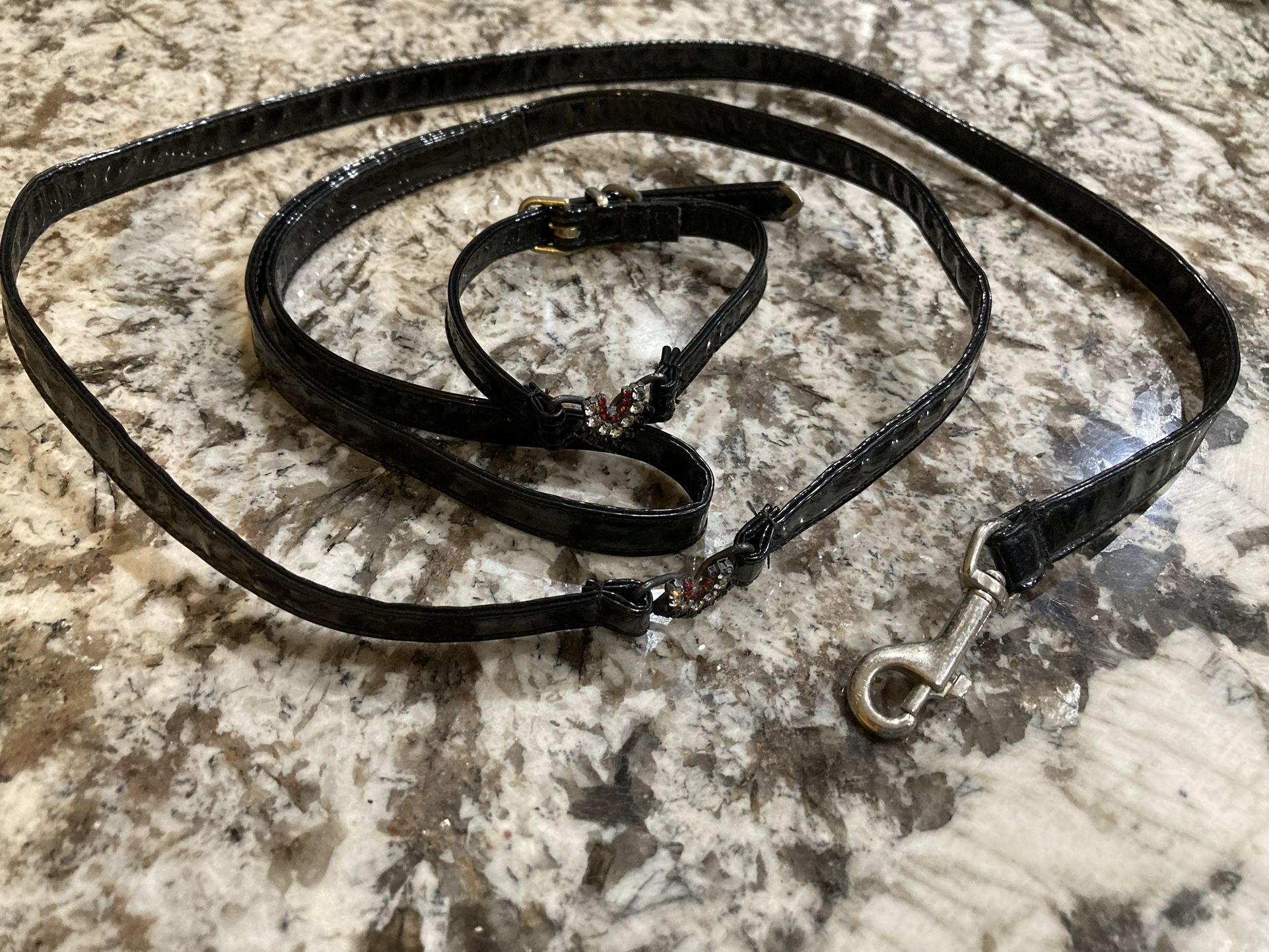 Black Leash And Collar Set For A Small Dog