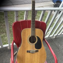 Acoustic Guitar