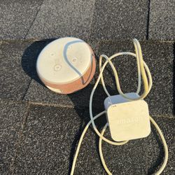 Amazon Alexa 