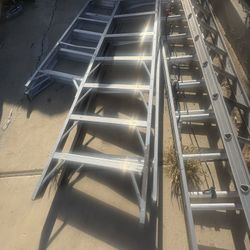 Ladders 