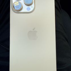 iPhone 16 Pro Max 256gb New