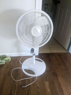 Electric fan