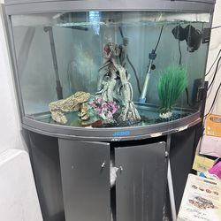 55 Gallons corner fish tank  with filter and accessories