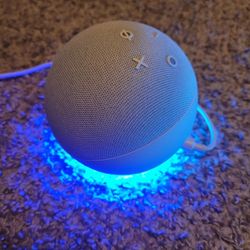 Amazon Echo