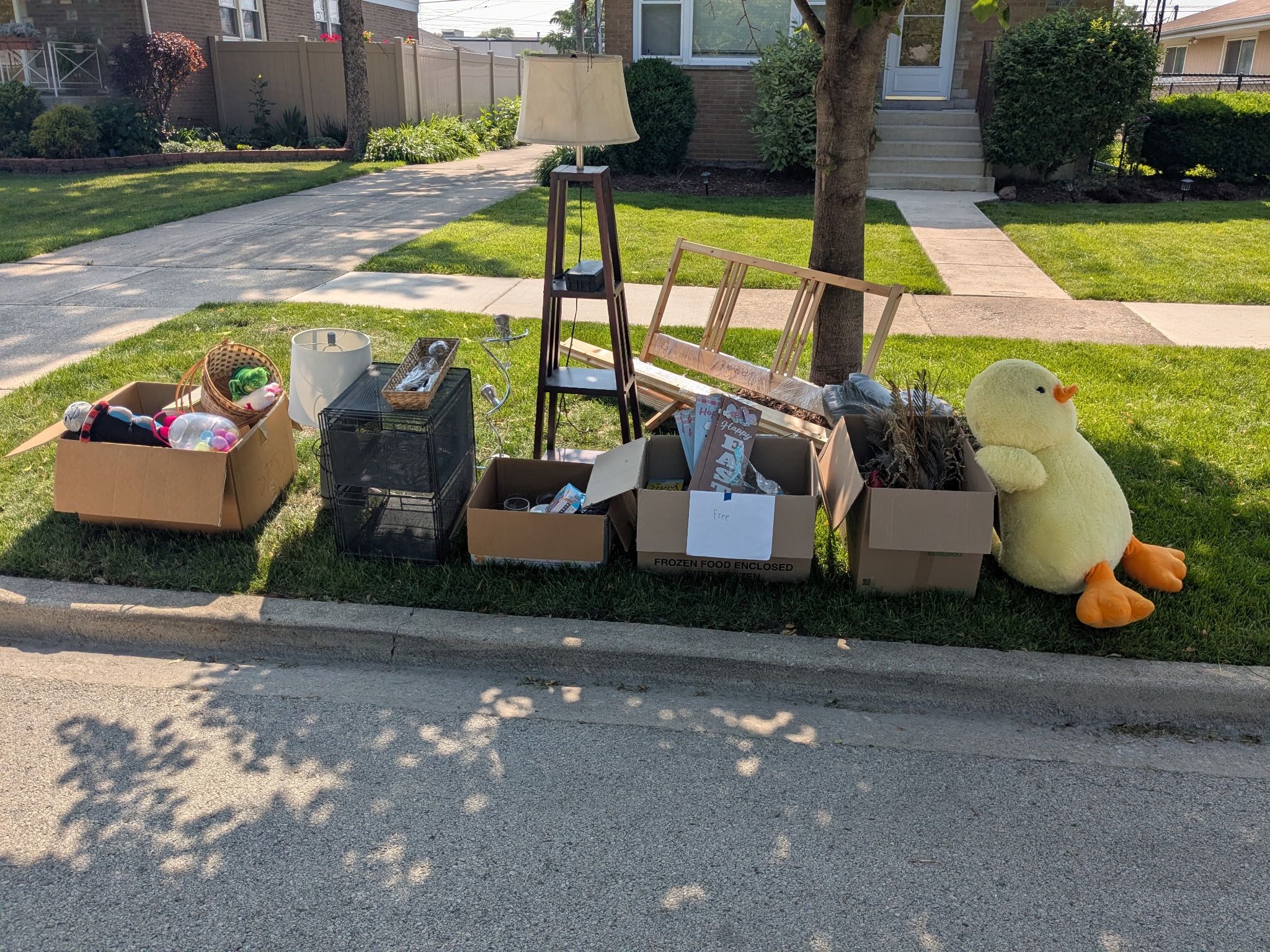 Free Stuff