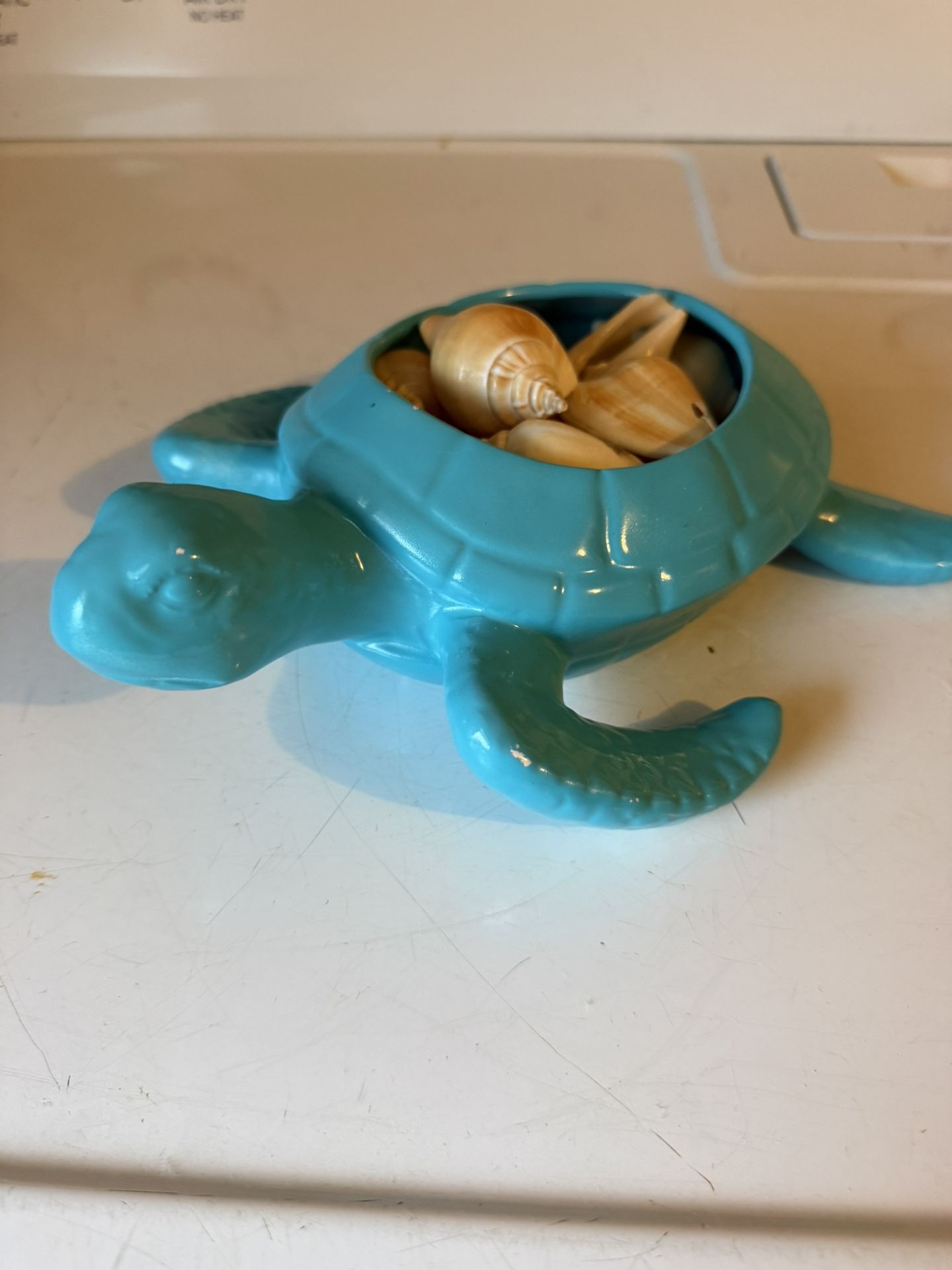 Large Ceramic Turtle From Homegoods With Shells