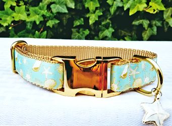 Sea Foam green seashell dog collar