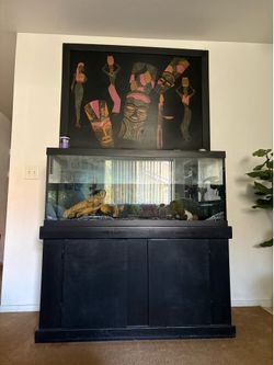 Fish tank 75 gallon