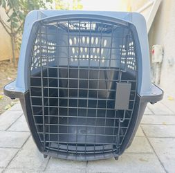 Pet Travel Carrier