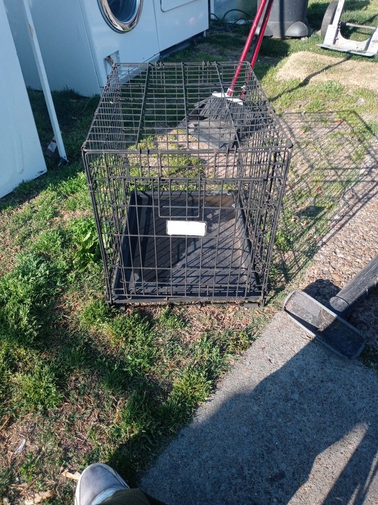 Dog Pen