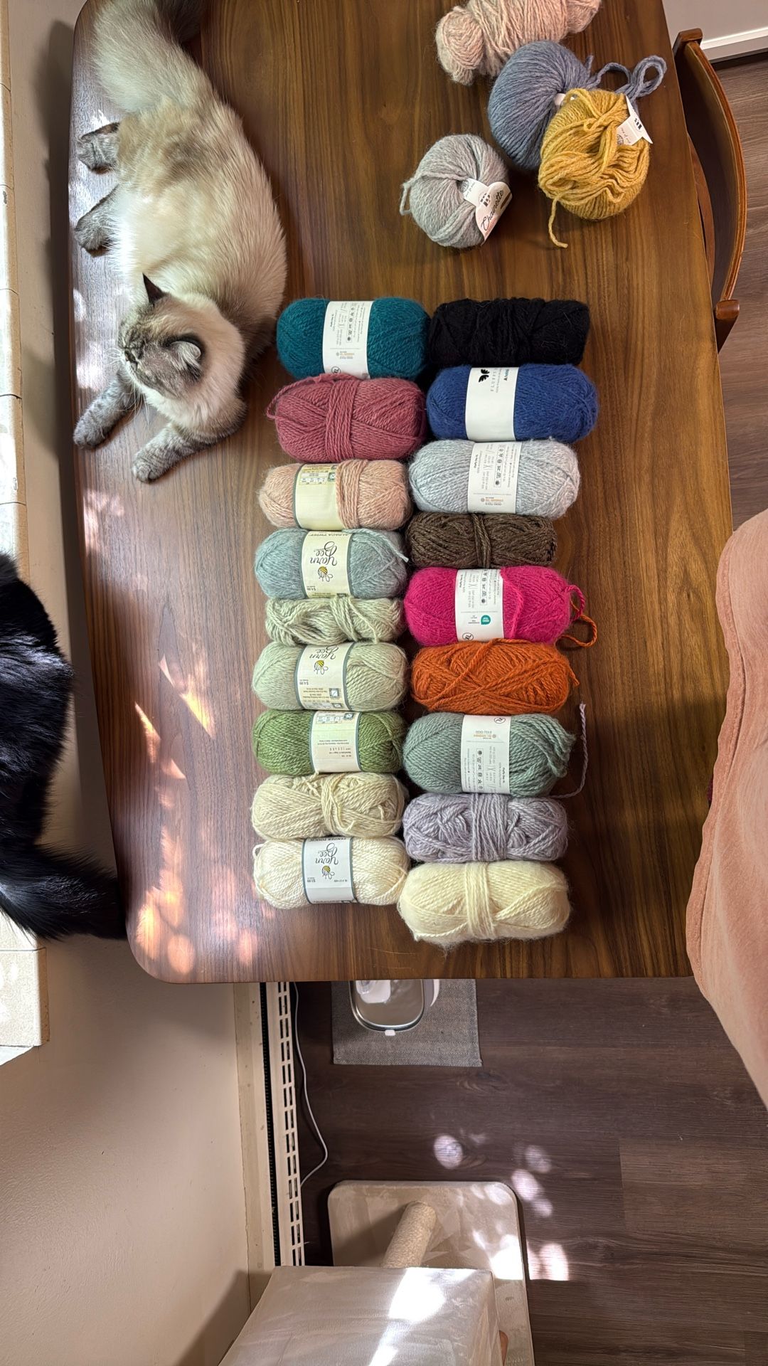Fluffy Yarn!