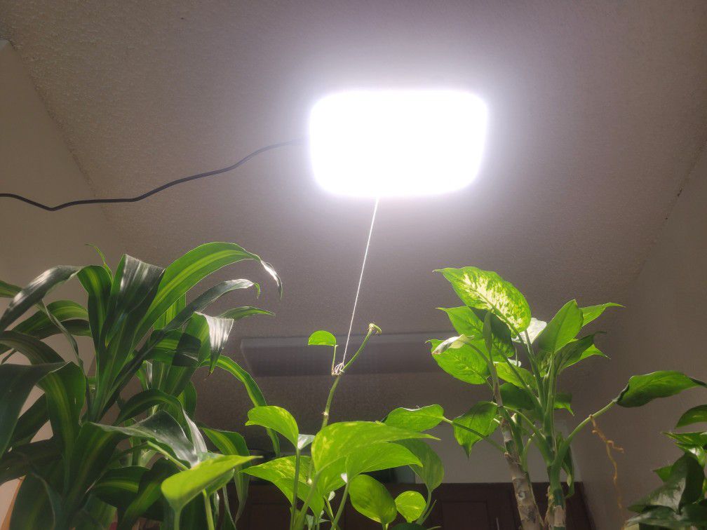 Indoor Grow Light Plants Planter Lighting