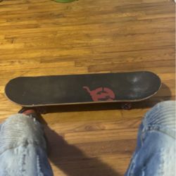 Skate Board
