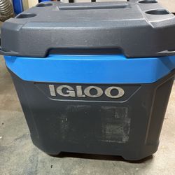 Igloo Cooler 