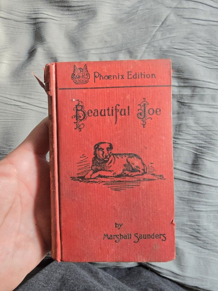 Beautiful Joe From 1903.