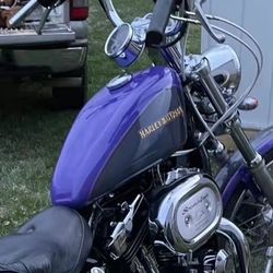 2002 Harley Davidson 1200 Custom