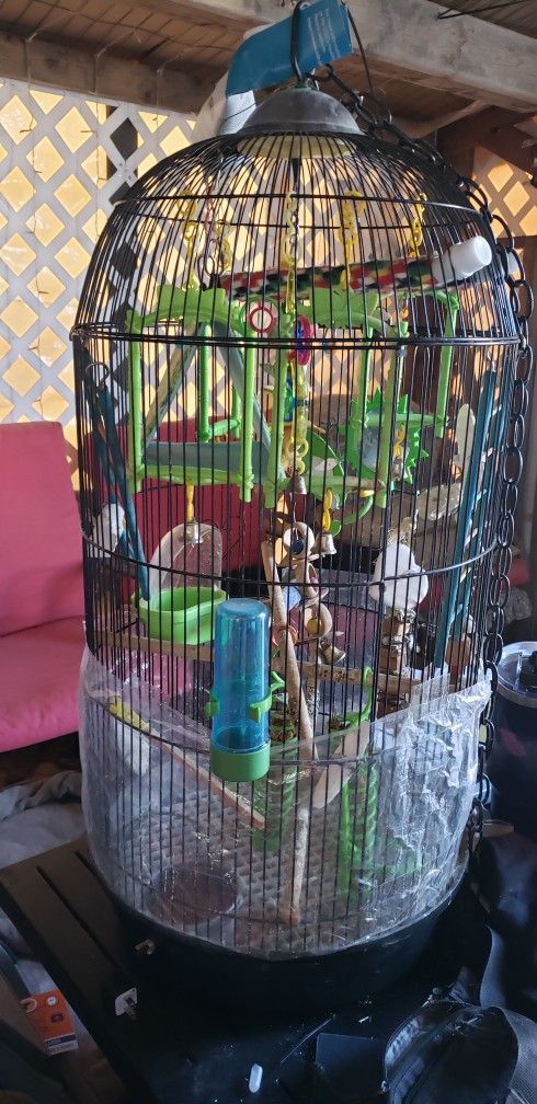 bird cage