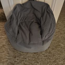 Big Joe Bean Bag Chair