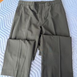 Express Seeing Studio Pants