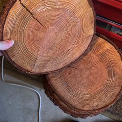 Wood Rounds Centerpieces  Thumbnail