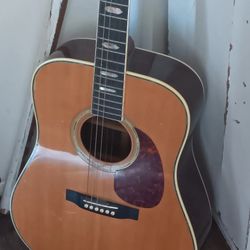 Vintage Martin/Sigma Dr-41