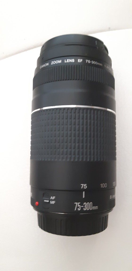 Canon 75-300 lens