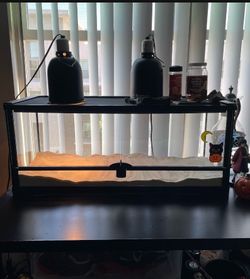 20 gallon terrarium