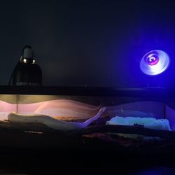 Snake Terrarium/enclosure 