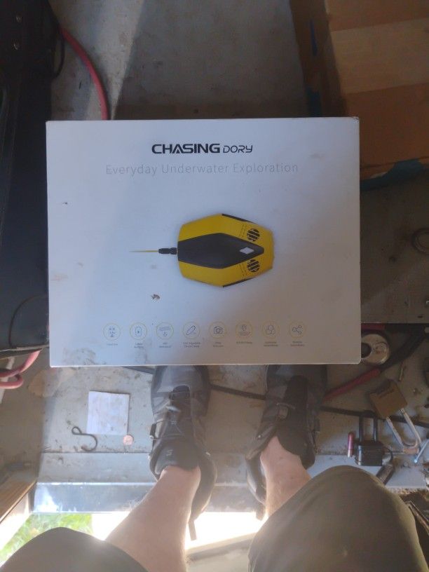 Underwater Drone, Chasing Dory