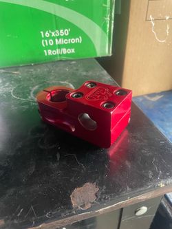 Se stem 40 year anniversary