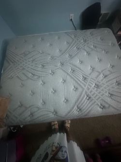 Free queen size mattress
