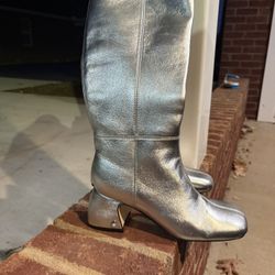 Silver Boots