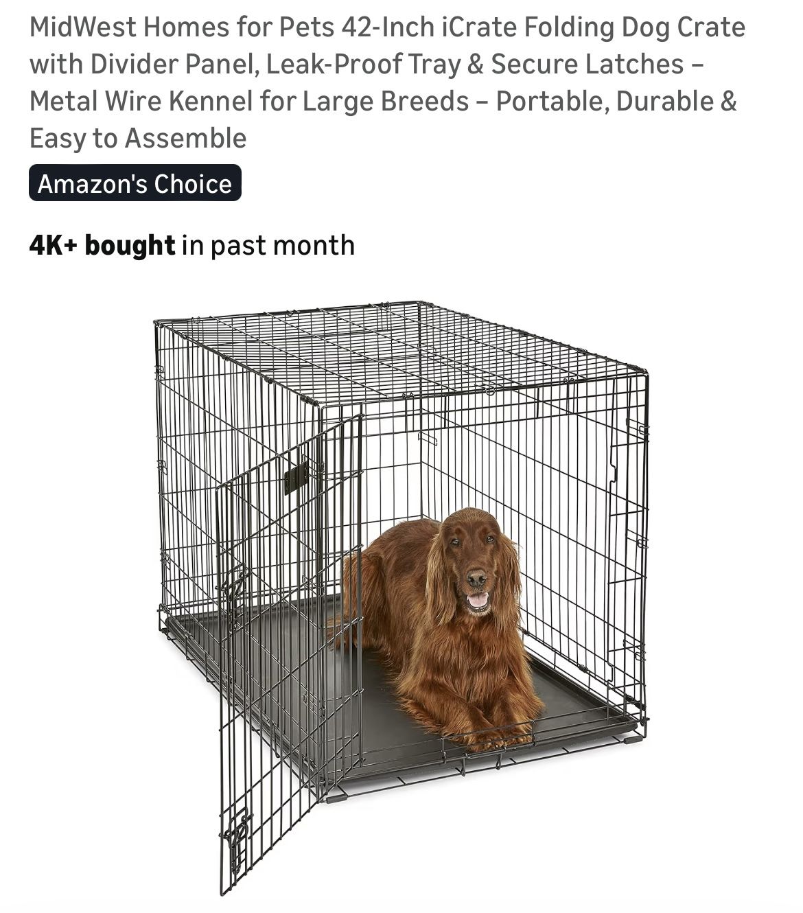 Dog Kennel