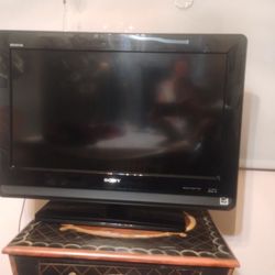 Sony Vizio Flat Screen Tv