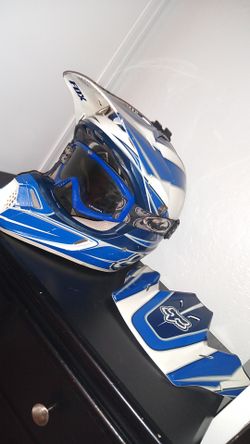 Fox helmet with dragon goggles