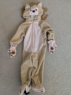 Baby Lion Costume Size 18 months