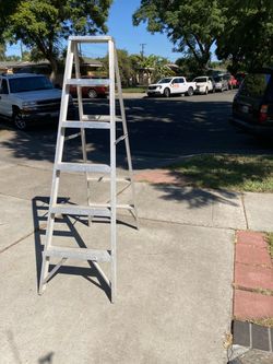 Ladder 6 feet