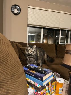 Free Sectional and Ottoman