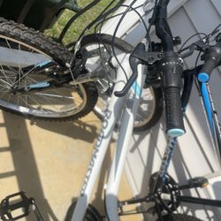 Road Master Bikes!