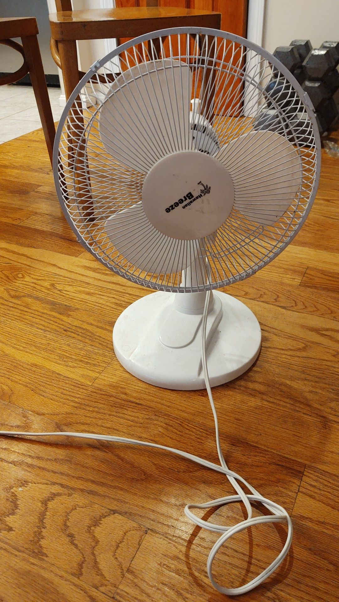 Hawaiian Breeze Area Fan