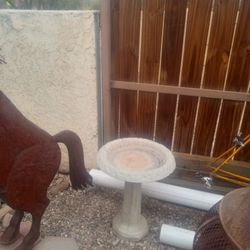 Bird Bath 