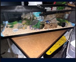 Terranium / Reptile Tank