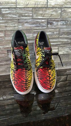 Nike Skate Board shoes