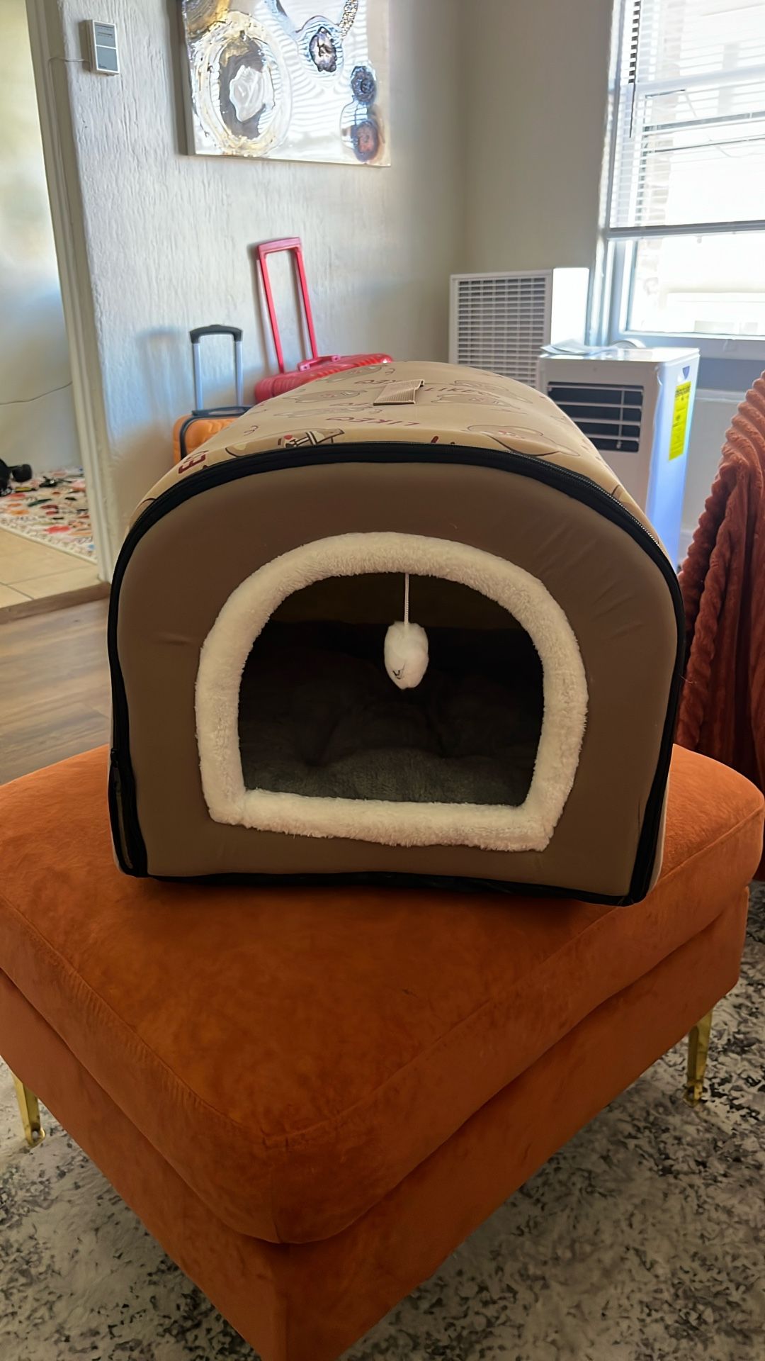 Pet Bed