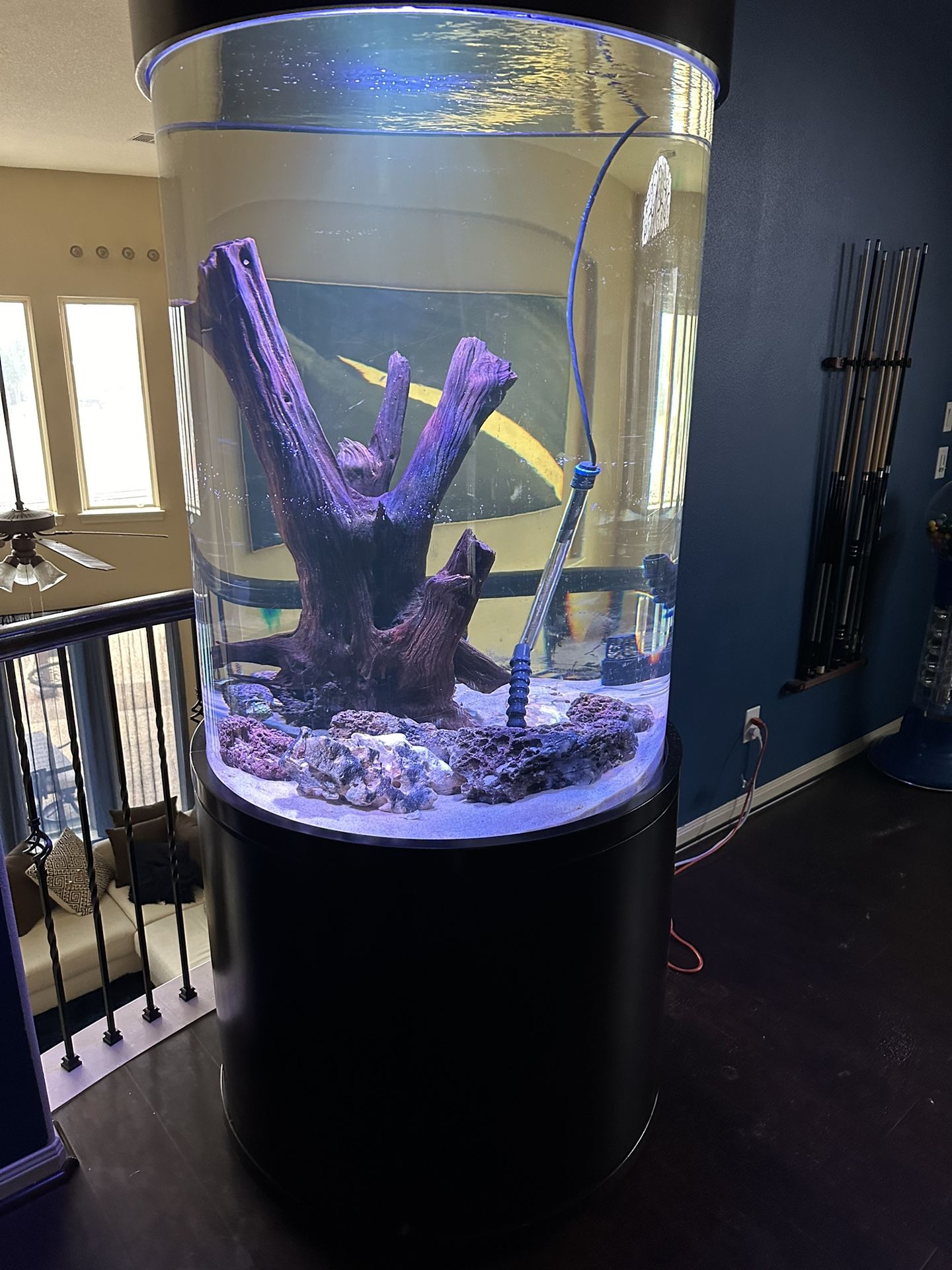 Cylinder Fish Aquarium.