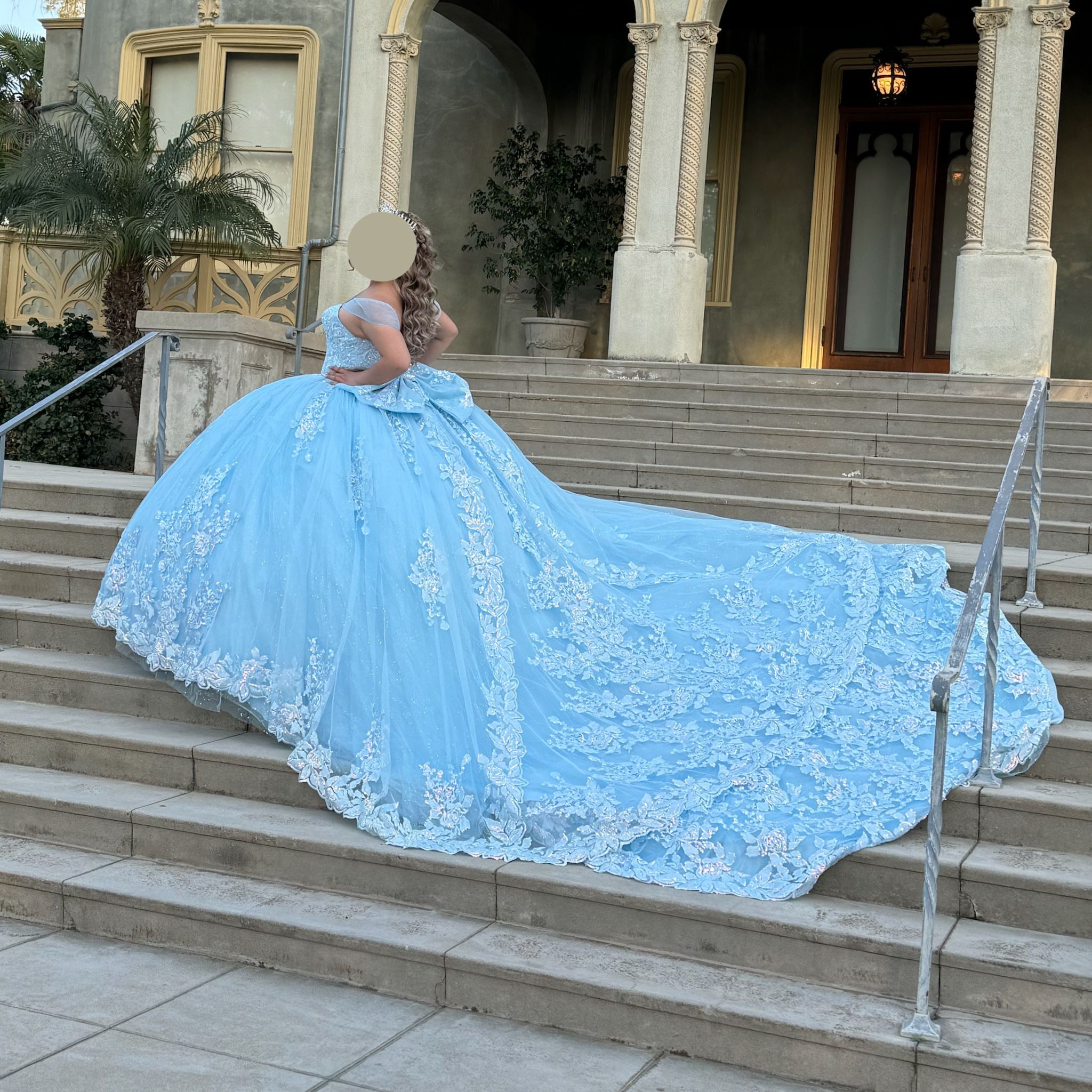 Cinderella Quince dress